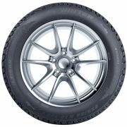 Tigar Winter 215/50 R17 95V